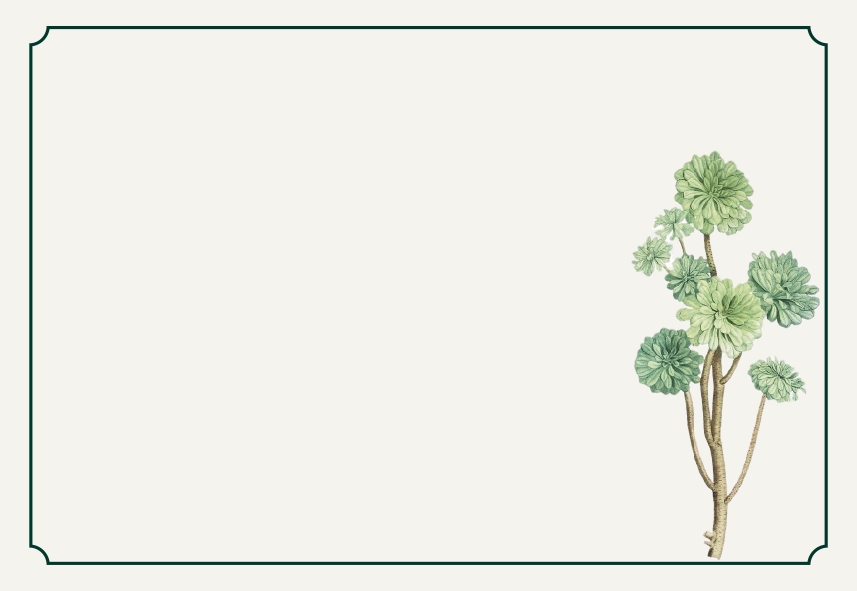 Tree House sleek - 1799 ( 5.8 * 4 inches)